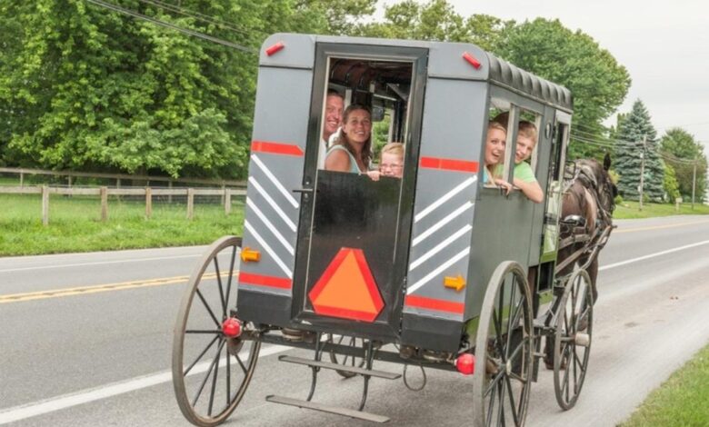 Amish parking horse