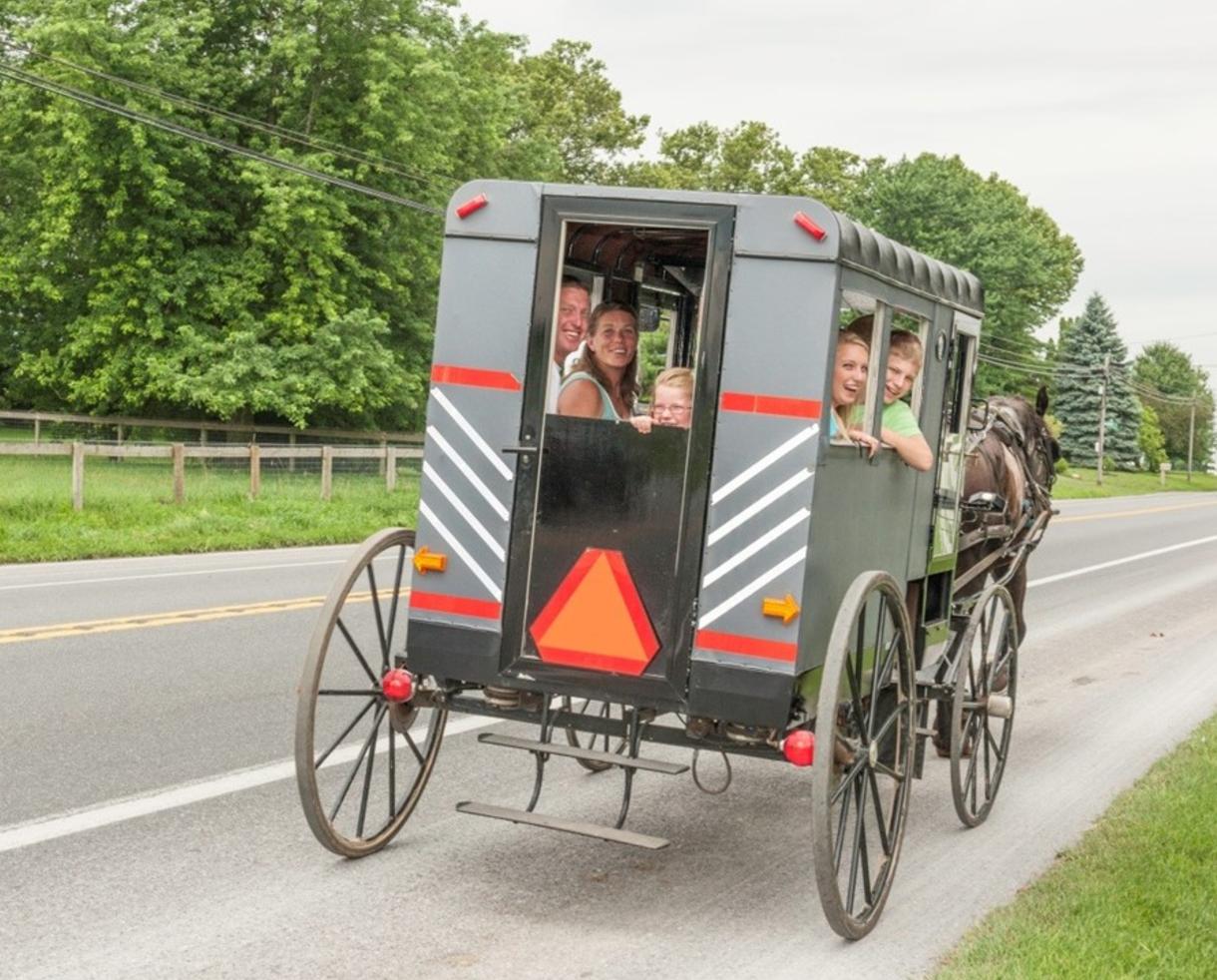 Amish parking horse