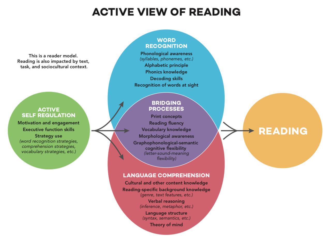 What to know about the science of reading