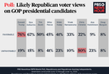 Results south carolina republican precincts