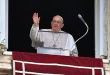 Pope francis surrogacy ban