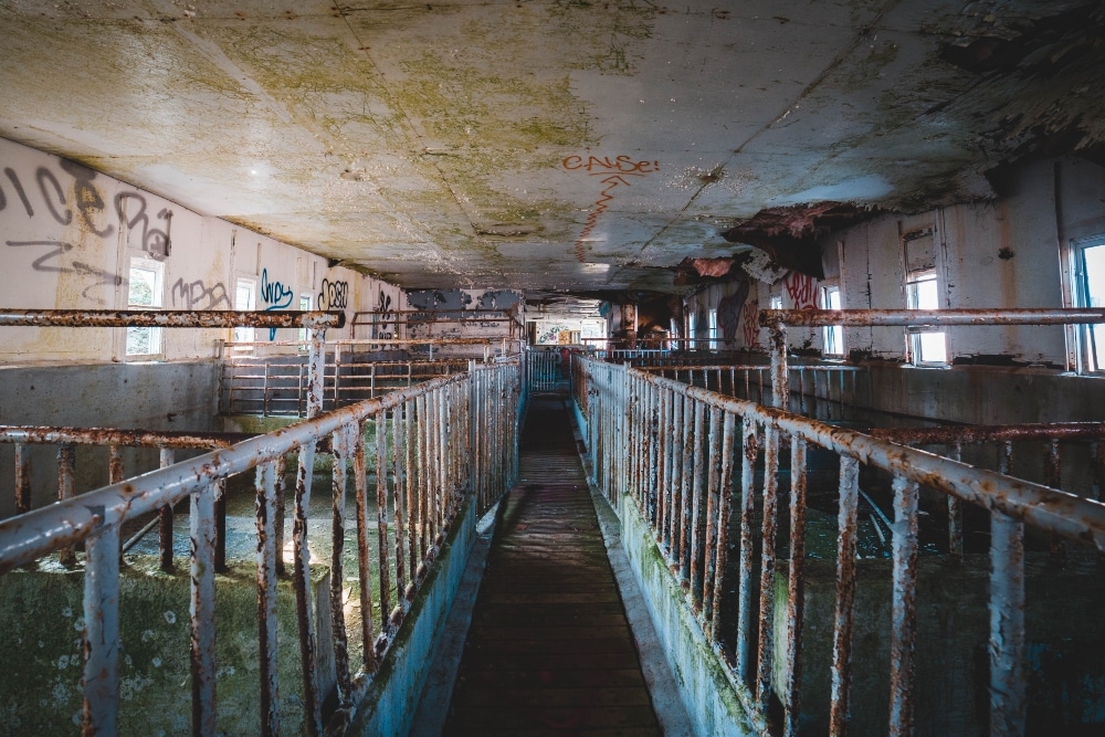 Child labor slaughterhouses tennessee