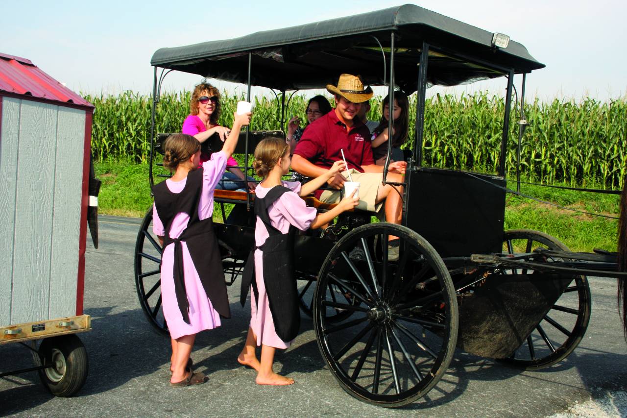 Mn amish buggy charge