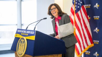 Hochul prenatal care maternal mortality