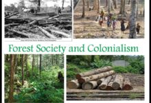 What is settler colonialism