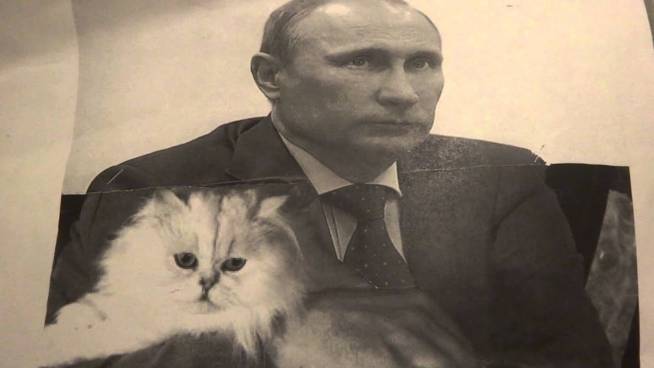 Cub siberian putin vladimir presented former