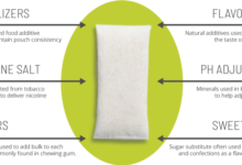Zyn nicotine pouches health risks