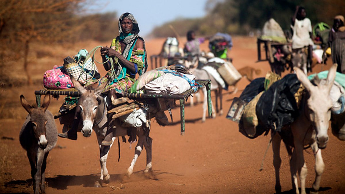 Piel de burro china africa