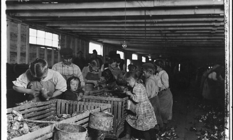 Labor child revolution industrial old during year shrimp oyster manuel picker work hb