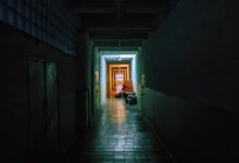 Word of the day liminal