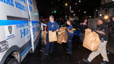 Brooklyn woman brick killed
