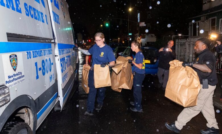 Brooklyn woman brick killed