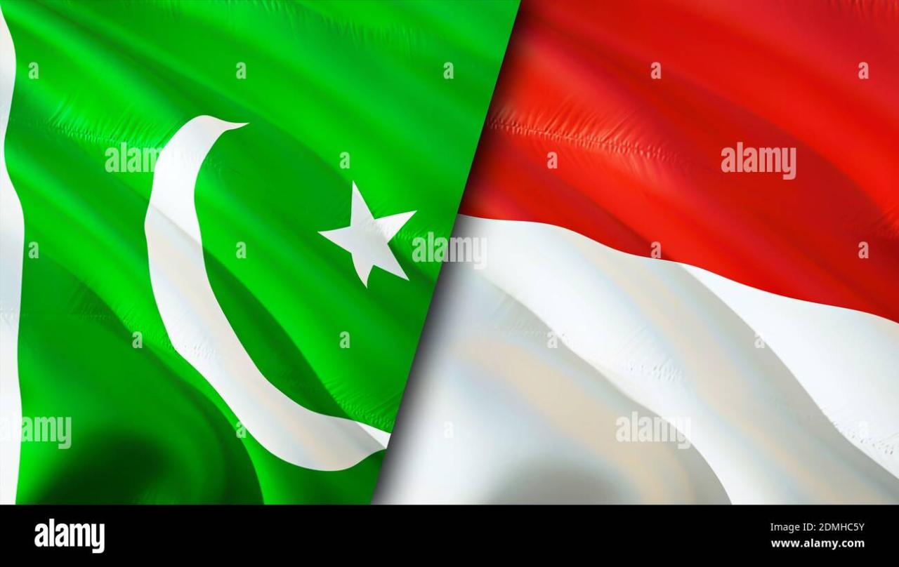 Indonesia vote pakistan coalition asia