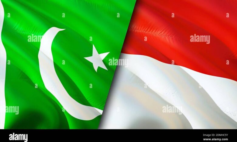 Indonesia vote pakistan coalition asia