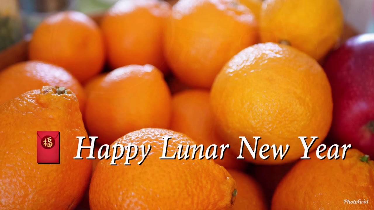 Lunar new year hot pot