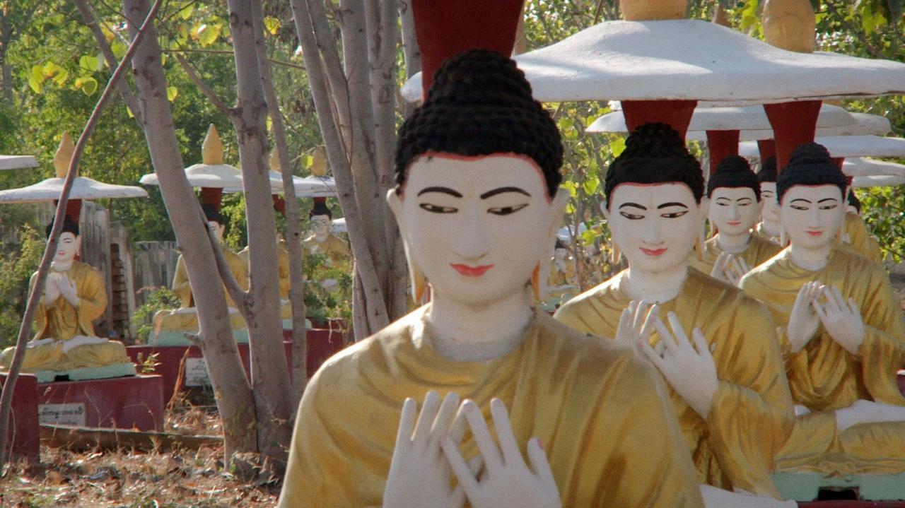 Film club letter to san zaw htway