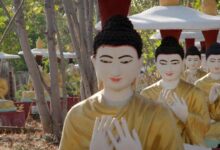 Film club letter to san zaw htway