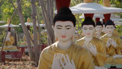 Film club letter to san zaw htway