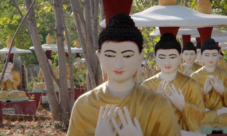 Film club letter to san zaw htway