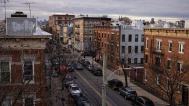 Nir meir hfz arrested developer