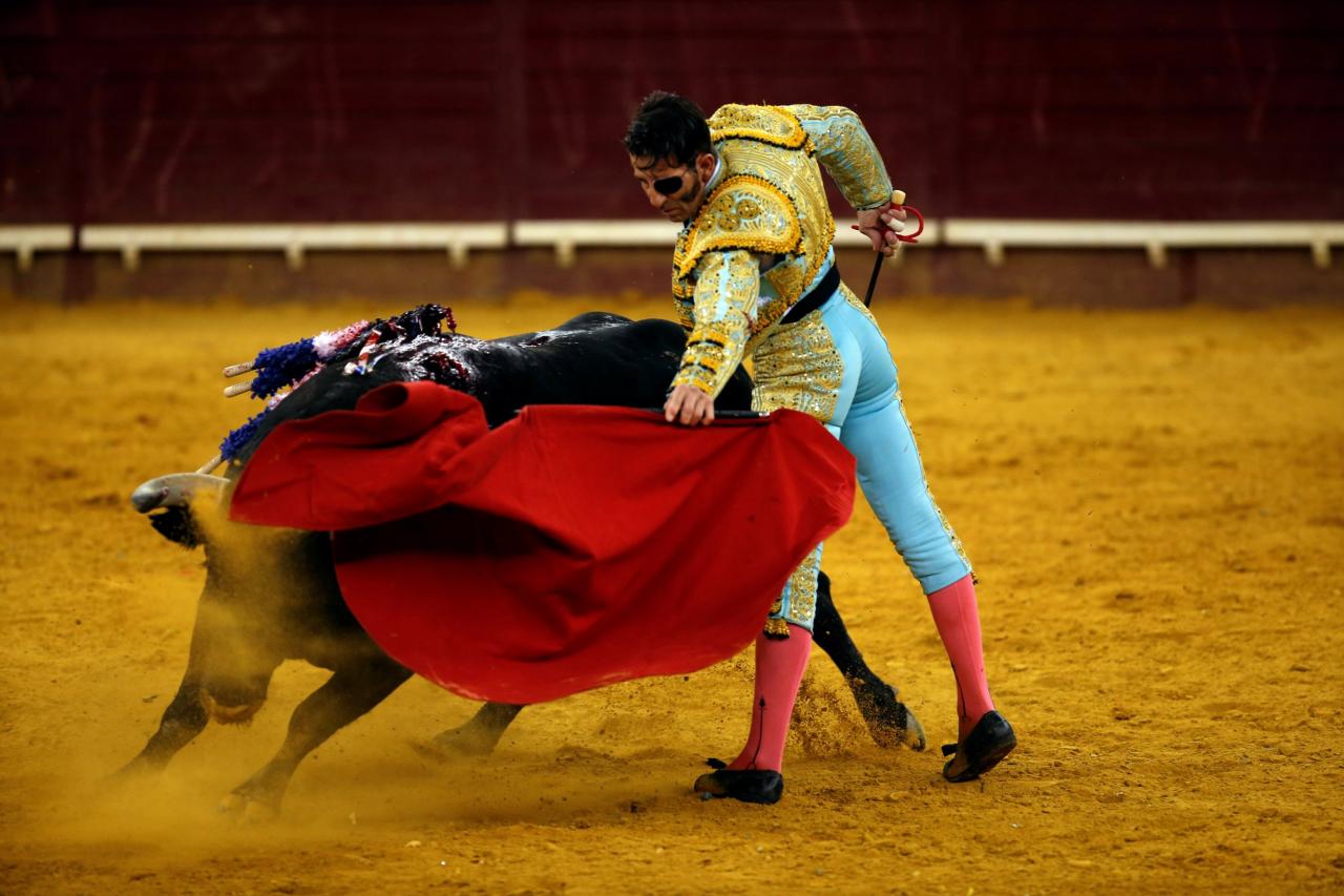 Quotation of the day after 500 years mexican bullfighting faces a mortal challenge