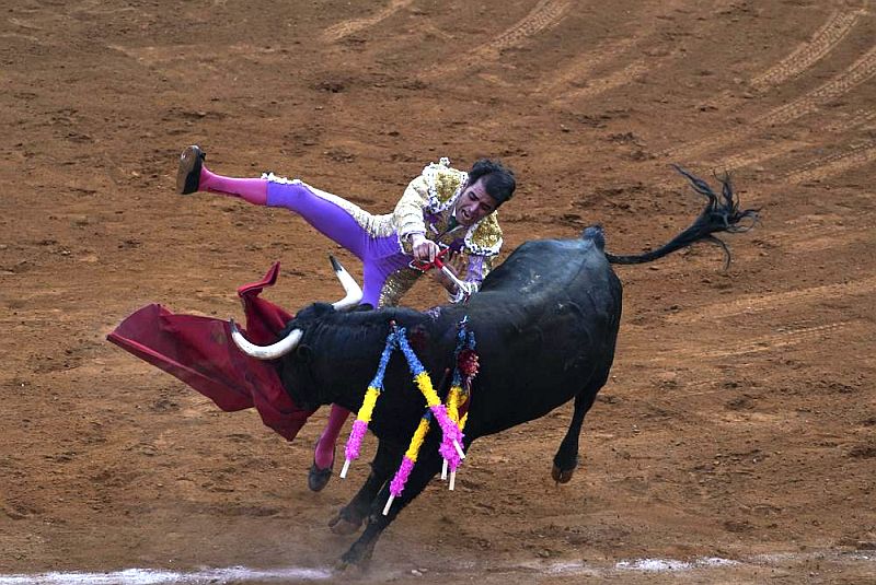 Quotation of the day after 500 years mexican bullfighting faces a mortal challenge