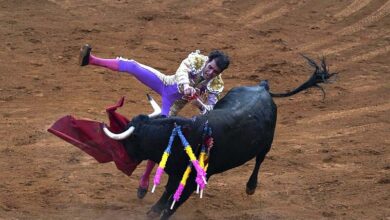 Quotation of the day after 500 years mexican bullfighting faces a mortal challenge