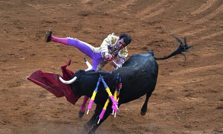 Quotation of the day after 500 years mexican bullfighting faces a mortal challenge