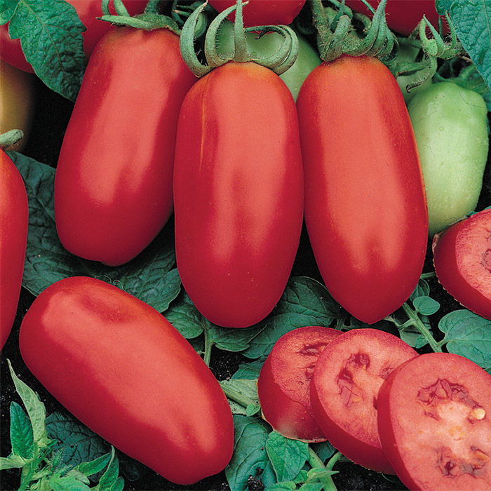 San marzano tomato lawsuit