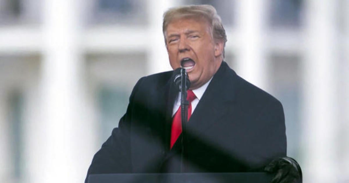 Late night trump immunity