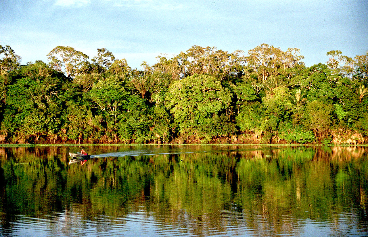 Amazon rain forest tipping point
