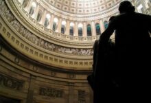 Evil politics forgotten american 2020