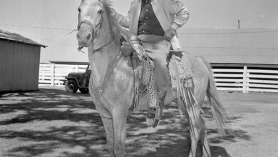 Tumblr lbj presidential 1966 lyndon