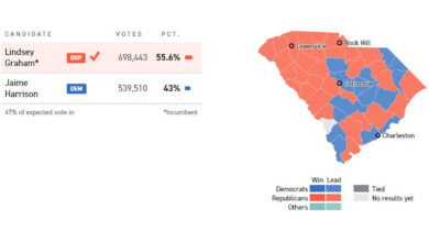 Primary politico