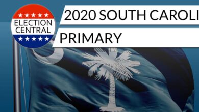 Primary carolina democratic sc