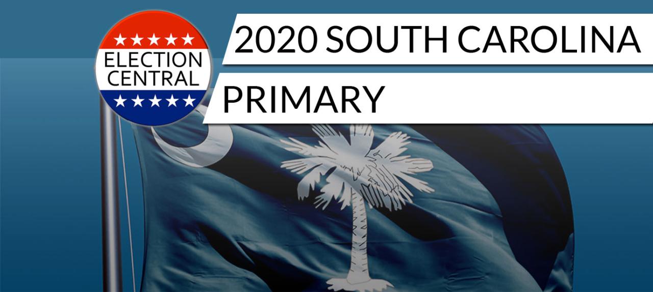 Primary carolina democratic sc