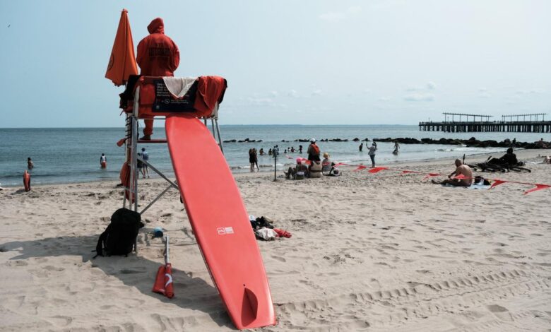 Drone lifeguard beach