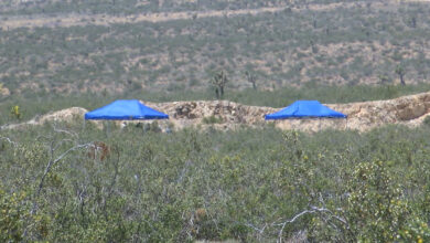 Mojave desert bodies found