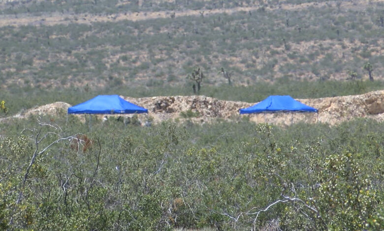 Mojave desert bodies found