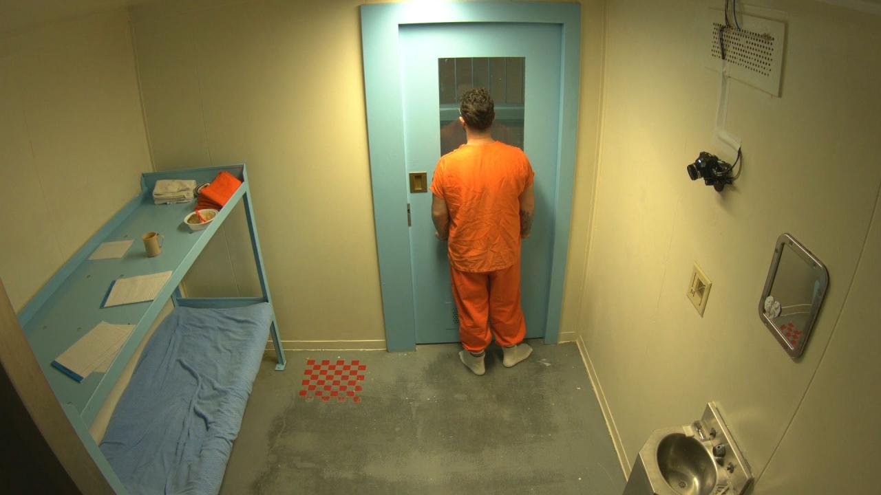 Migrants thousands solitary confinement ice says report