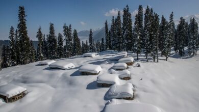 No snow gulmarg india