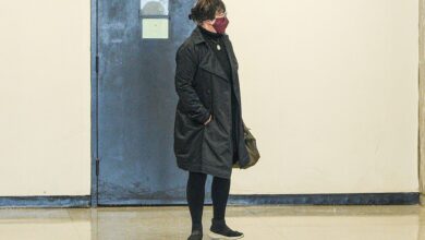 Cindy tappe guilty theft