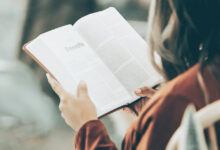 Read like wind recommendations