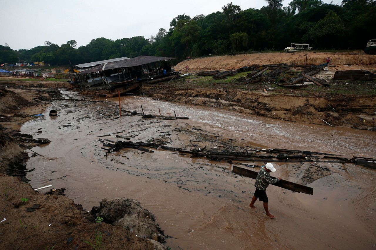 Sequia amazonas cambio climatico