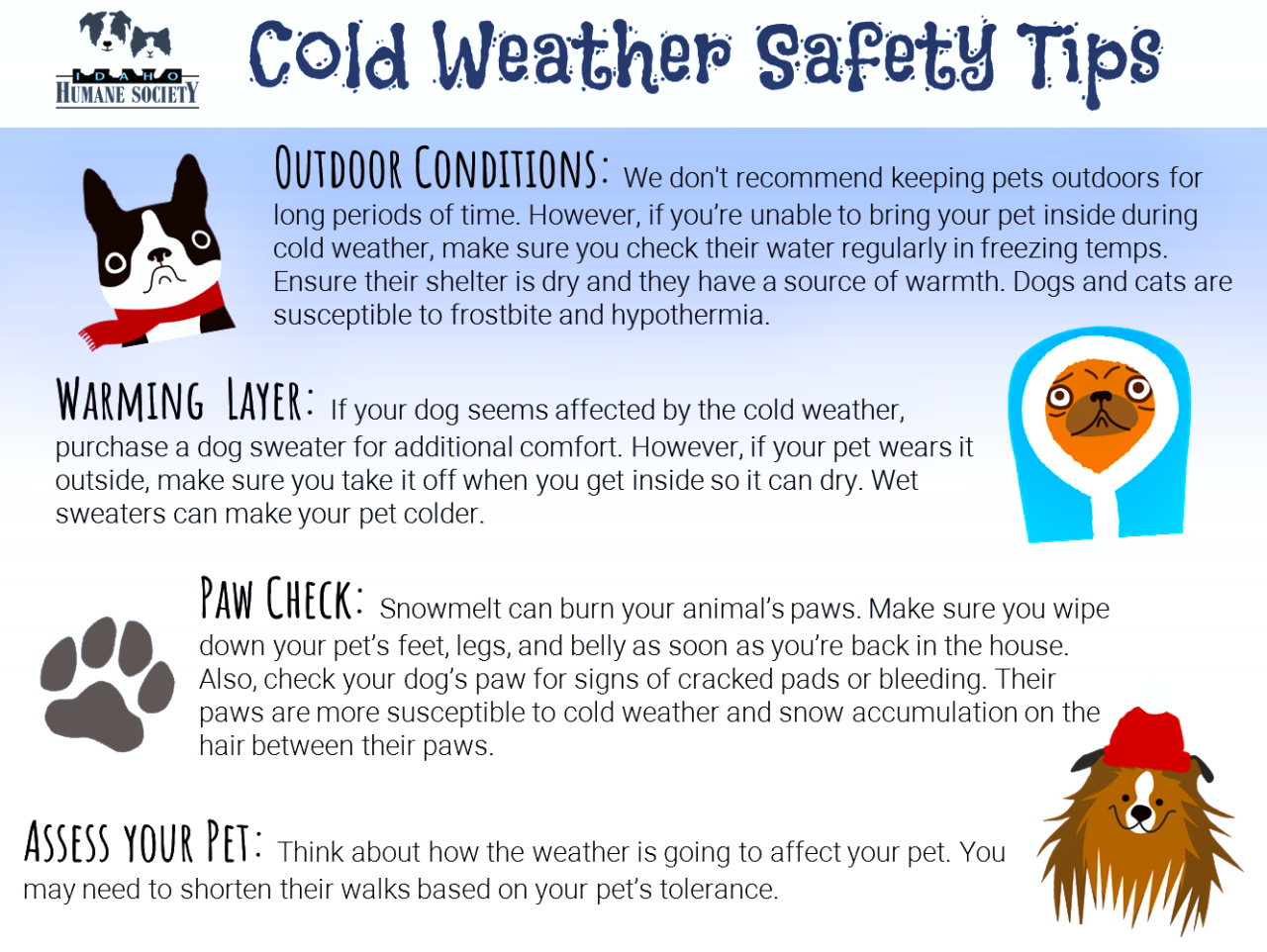 Cold weather safety tips pet pets owners attention isn escape walks outdoors paying someone go great if other can out