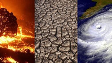 Billion dollar disasters climate