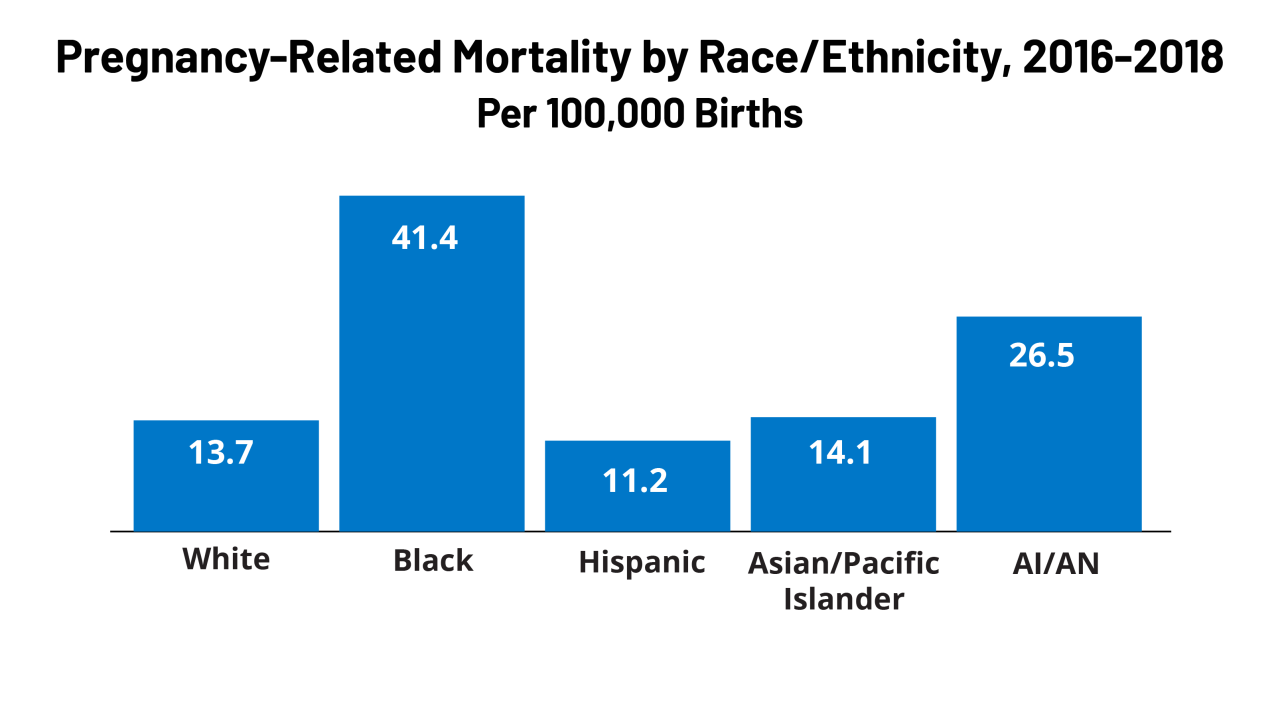 Hochul prenatal care maternal mortality