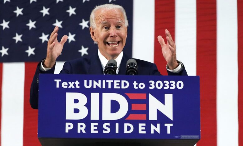 Joe biden democratic primary