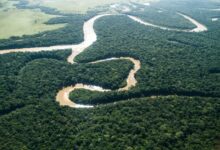 Colombia parque nacional manacacias