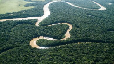 Colombia parque nacional manacacias